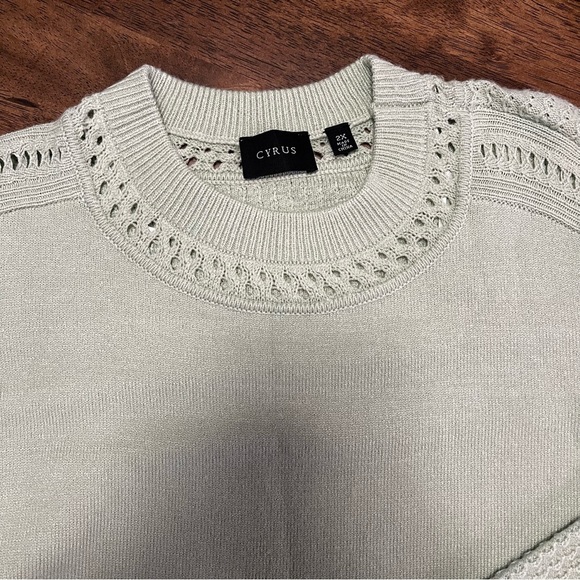 NWT Cyrus Women’s Crewneck Sweater - Light Green Sage Size 2X - Picture 2 of 10